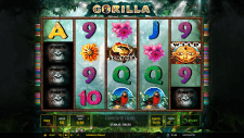 Gorilla